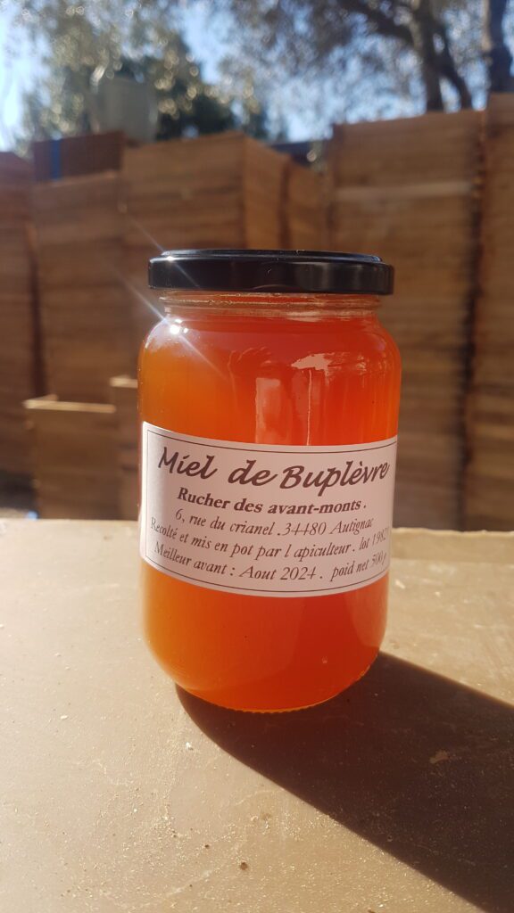 Buplèvre