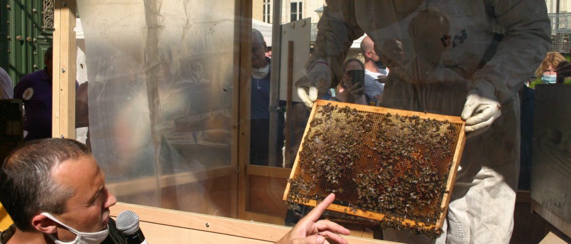 Paul Galzin, Didier Brocard